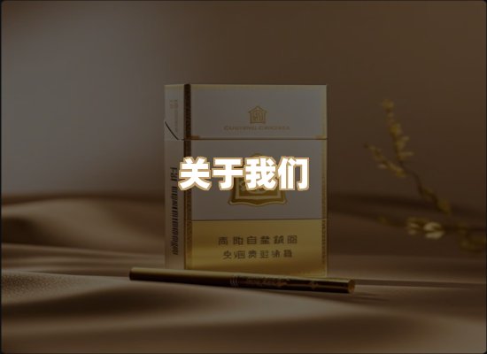 关于云歌烟网